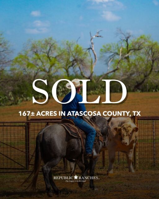 SOLD | Chilipitin Creek Ranch

Chilipitin Creek Ranch, a 167±-acre ranch near Charlotte, Texas, offered a well-appointed ranch home, established cattle and horse infrastructure, excellent wildlife habitat, and the character of a true South Texas home ranch.

View available listings | republicranches.com/properties