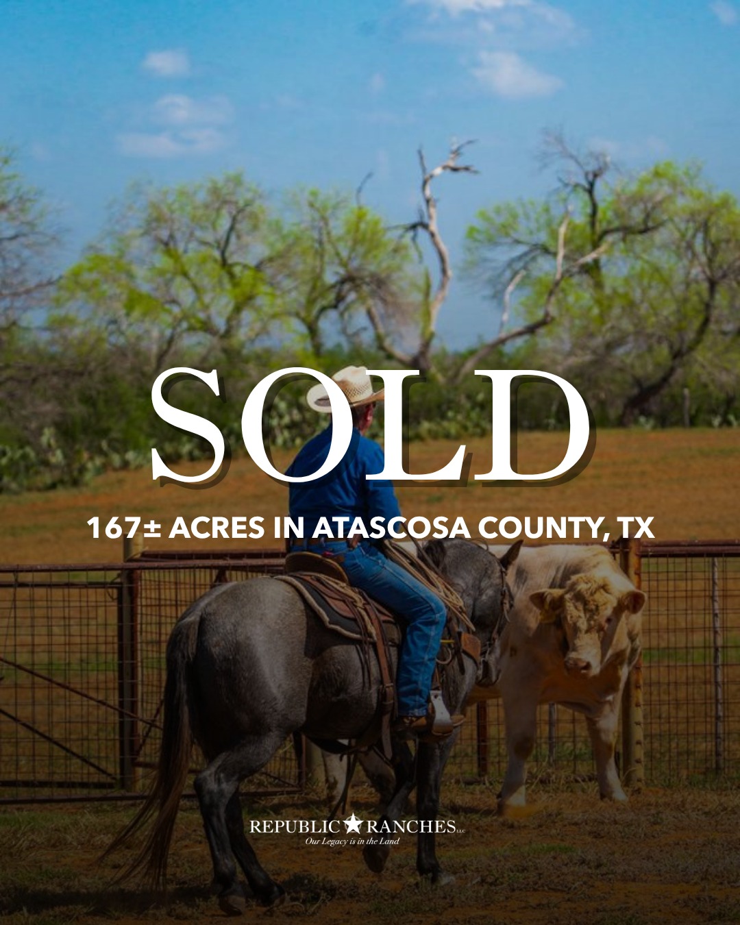 SOLD | Chilipitin Creek Ranch

Chilipitin Creek Ranch, a 167±-acre ranch near Charlotte, Texas, offered a well-appointed ranch home, established cattle and horse infrastructure, excellent wildlife habitat, and the character of a true South Texas home ranch.

View available listings | republicranches.com/properties