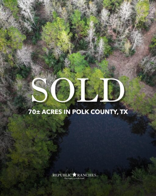 SOLD | Hickman Creek Ranch

A quiet East Texas retreat, now SOLD. Hickman Creek Ranch offered 70± acres of mature timber, two ponds, extensive trails, abundant wildlife, and more than 2,000 feet of frontage along the clear waters of Hickman Creek.

View available listings | republicranches.com/properties