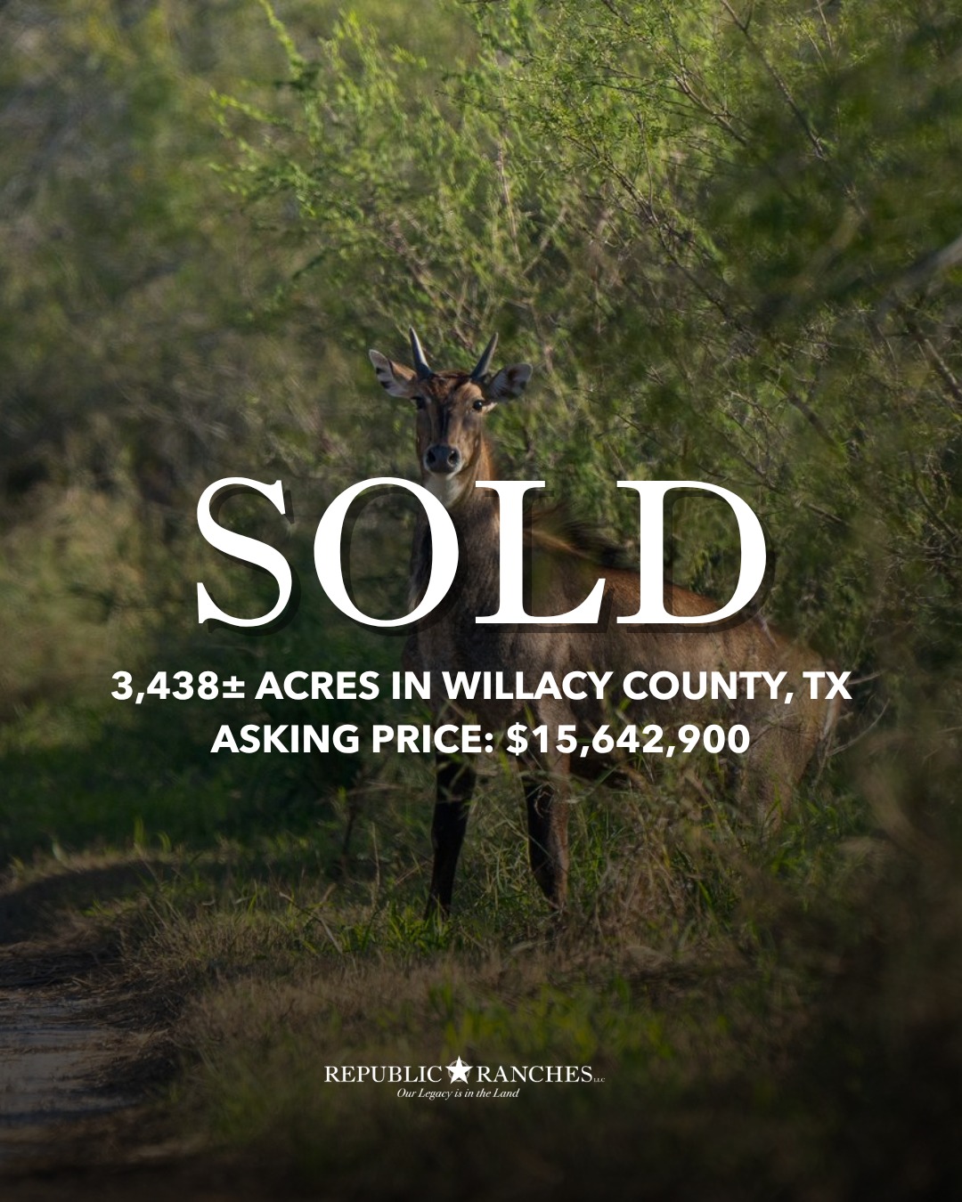 SOLD | La Arena Ranch

A standout South Texas ranch has officially found its next owner. La Arena Ranch encompasses 3,438± acres near Raymondville, where fine sandy soils, mature old-growth brush, and native grasslands create exceptional habitat for white-tailed deer, nilgai, turkey, quail, and dove.

View Available Listings | republicranches.com/properties

#SouthTexasRanch #HuntingRanch #TexasRanches