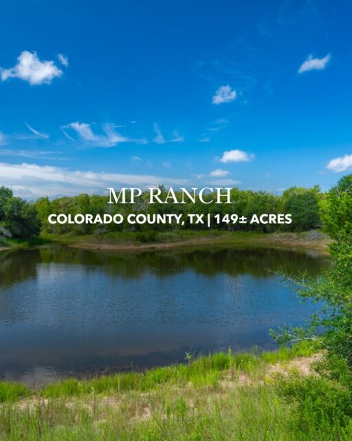 MP Ranch | Colorado County, Texas 

Tucked between Columbus and Weimar, MP Ranch offers 149± acres of heavily wooded Texas land with the privacy, water, and wildlife habitat that make this part of Colorado County so desirable.

The ranch features two ponds, a seasonal wet-weather draw, perimeter fencing, and excellent cover for white-tailed deer, hogs, and other native wildlife. Currently utilized for cattle, the property also offers strong potential as a private hunting ranch, recreational getaway, or weekend retreat - all within easy reach of Houston, Austin, and San Antonio.

Listing Details | republicranches.com/properties/texas/bluebonnet-country/mp-ranch

#RepublicRanches #ColoradoCounty