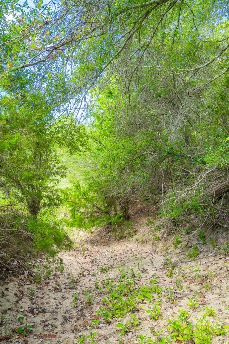 Walker Ranch (photo 2)
