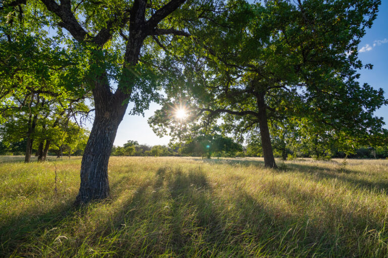 Gary Creek Ranch, Bosque County, Texas (photo 2)