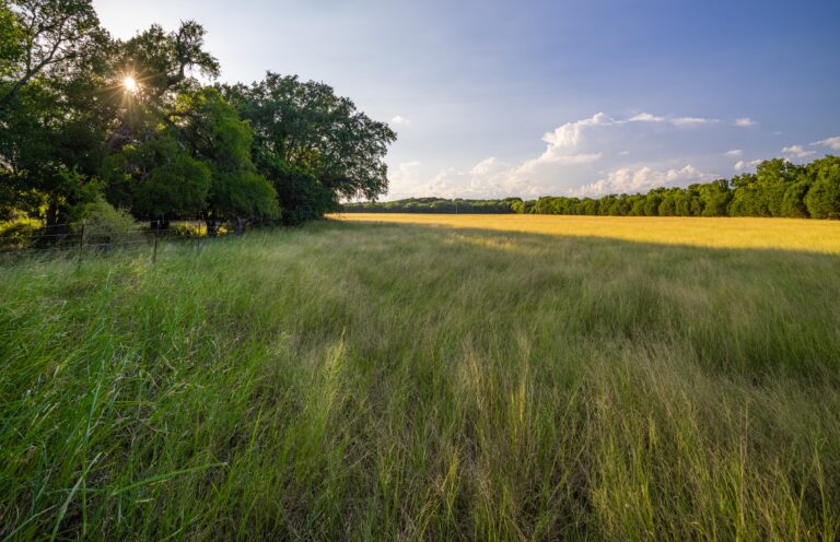 Gary Creek Ranch, Bosque County, Texas (photo 3)