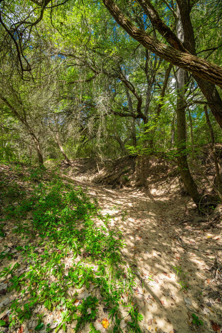 Walker Ranch (photo 3)