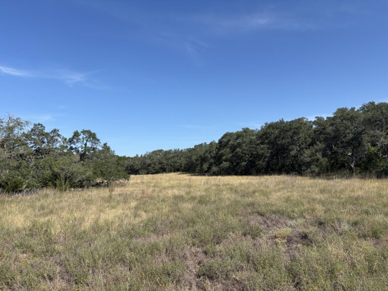 Upper Balcones 7.3, Kendall County, Texas (photo 3)
