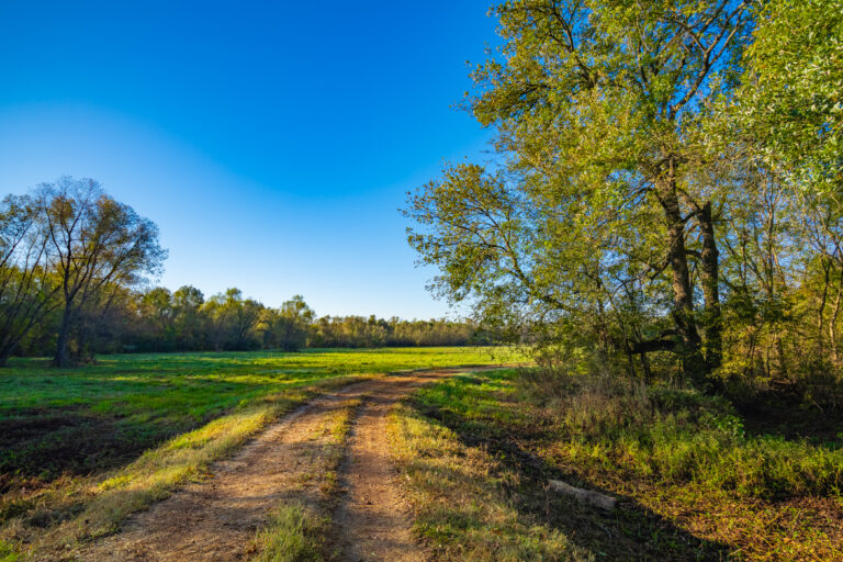 Red Barn North (photo 3)