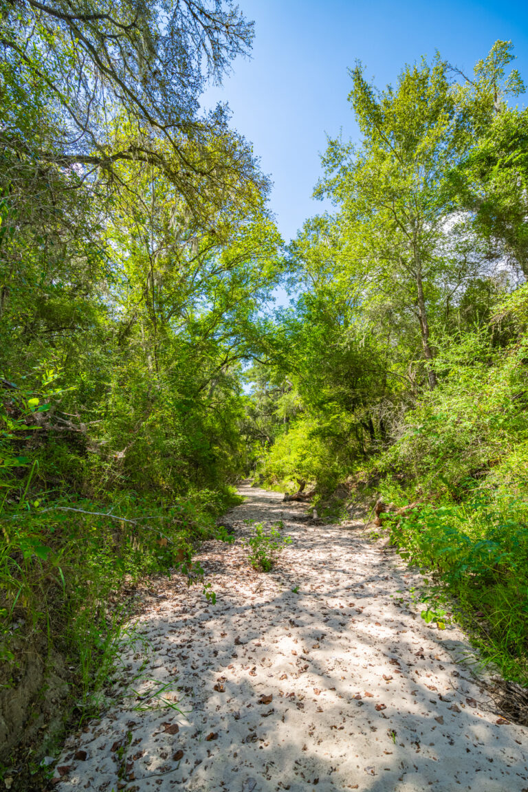Walker Ranch (photo 4)