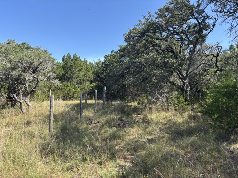 Upper Balcones 7.3, Kendall County, Texas (photo 4)