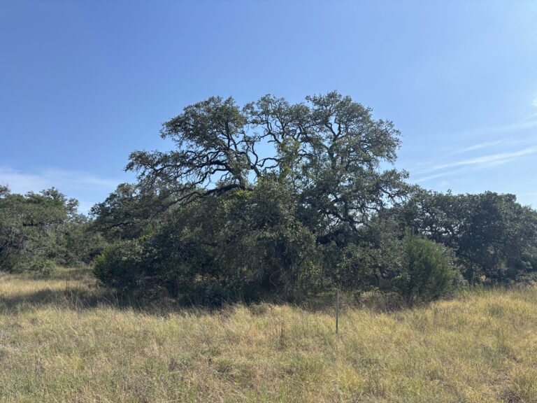 Upper Balcones 7.3, Kendall County, Texas (photo 5)