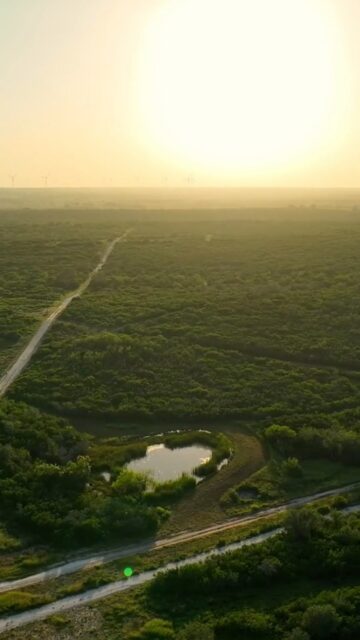 Price Reduced | Dos Colinas 

Set in the northern reaches of the South Texas Brush Country, Dos Colinas offers 865± acres of rolling terrain, prime native browse, scattered oaks, and abundant water. With high fencing already in place and significant investment in water development, deer herd enhancement, and exotic wildlife, the ranch presents an exciting opportunity for its next owner to make it their own.

Listing Details | republicranches.com/properties/texas/south-texas/dos-colinas/

#TexasRanch #RanchRealEstate