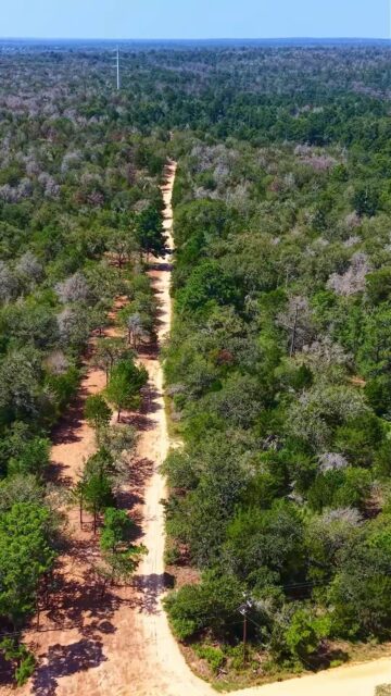 67 Pines Ranch | Bastrop County, Texas | 67 Acres

A beautiful piece of Bluebonnet Country with the character, privacy, and natural beauty that make Central Texas ranch land so desirable. 67 Pines Ranch offers a peaceful setting with mature trees, open spaces, and plenty of room to create your own Texas retreat.

More Details | republicranches.com/properties/texas/bluebonnet-country/67-pines-ranch/