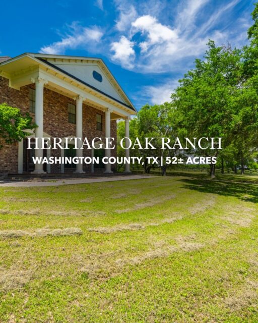 Heritage Oak Ranch | Washington County, Texas | 52 Acres

Set on 52± acres just 8.5 miles from downtown Brenham, Heritage Oak Ranch captures the best of Bluebonnet Country - rolling native pasture, towering mature oaks, and a peaceful setting with easy access to town.

Listing Details | republicranches.com/properties/texas/bluebonnet-country/heritage-oak-ranch

#RepublicRanches #HeritageOakRanch #BrenhamTexas