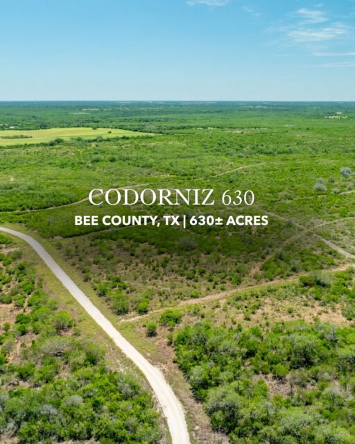 Price Reduced | Codorniz 630

Located just west of Pettus in Bee County, Codorniz 630 offers 630± acres of classic South Texas habitat and exceptional recreational opportunity. A mix of open grasslands, oak mottes, native brush, and thoughtfully maintained quail lanes creates an ideal setting for quail hunting, while lightly hunted deer, turkey, dove, and hogs add to the ranch’s diverse wildlife appeal.

Listing Details | republicranches.com/properties/texas/south-texas/codorniz-630