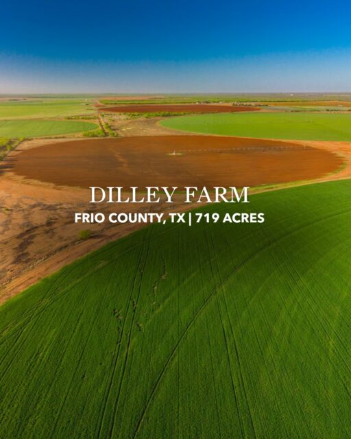 Dilley Farm | 719 Acres in Frio County, Texas

A versatile South Texas property with the space, location, and natural resources to make it your own. Jones Farm offers productive acreage, excellent wildlife habitat, and the opportunity to enjoy the land for agriculture, recreation, and the South Texas lifestyle.

Learn More | republicranches.com/properties/texas/south-texas/jones-farm/
