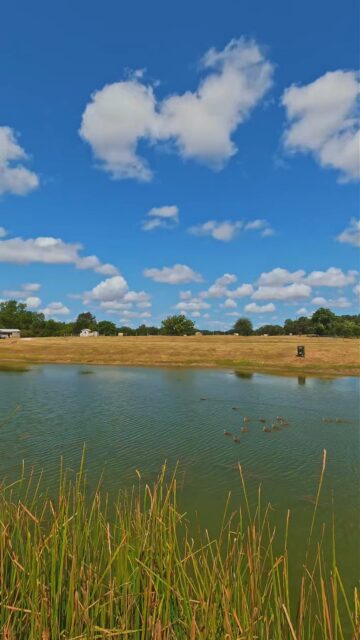 KNIGHTS BRANCH CREEK RANCH Thrall, Texas | 127± Acres

Just 50 miles from downtown Austin, Knights Branch Creek Ranch offers 127± acres of Central Texas countryside with a rare combination of agricultural production, live water, wildlife, and recreational amenities.

Listing Details | republicranches.com/properties/texas/blackland-prairie/knights-branch-creek-ranch/