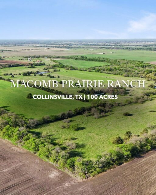 PRICE REDUCED | MACOMB PRAIRIE RANCH | Collinsville, Texas | 100± Acres

The property features 700± feet of frontage along FM 901, gently rolling terrain, native and improved grasses, and approximately 25 acres currently in cultivation. With Sherman just 15 miles away and the DFW Metroplex expanding northward, Macomb Prairie Ranch offers a strategic location with long-term potential.

More Information | republicranches.com/properties/texas/north-texas/macomb-prairie-ranch/

#TexasLand #TexasRanch #RanchRealEstate #LandInvestment #TexasRealEstate