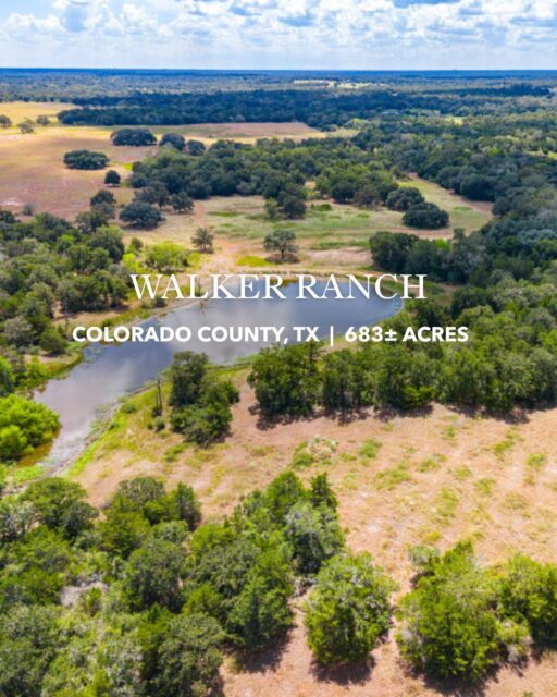 Walker Ranch offers 683± acres of cattle country, hunting habitat and live water near Weimar. With two creeks, two ponds, established power and easy access from Houston or Austin, this ranch is ready to work, build or enjoy.

Listing Details | bit.ly/4AoCqT6