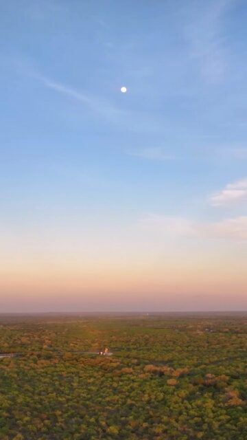 Shockley Creek Ranch | Wilson County, Texas | 1,402± Acres

The property features a 5,692± square-foot main residence, a 5,400± square-foot hunting lodge, eight water features, a five-stand skeet range, and extensive ranch infrastructure.

Wildlife includes trophy white-tailed deer, elk, blackbuck, gemsbok, nilgai, Rio Grande turkey, quail, dove, and waterfowl. With mature creek-bottom woods, open prairie, ponds, and rolling terrain, Shockley Creek Ranch offers a diverse South Texas setting for hunting, fishing, cattle, and entertaining.

Listing Details | republicranches.com/properties/texas/south-texas/shockley-creek-ranch/