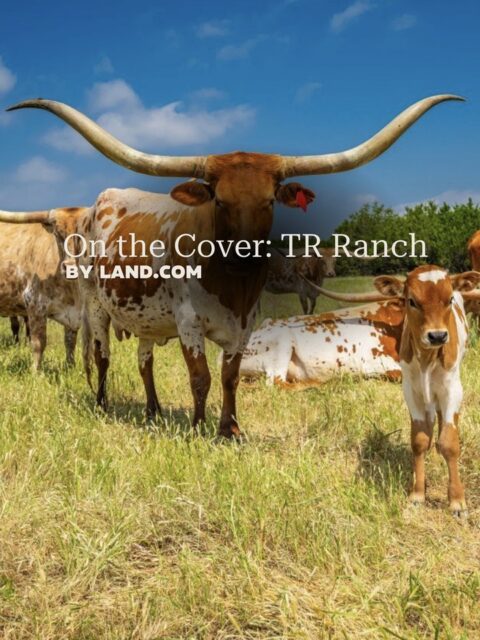 Featured on the cover of the Fall | Winter 2026 issue of Texas LAND Magazine, TR Ranch showcases the best of North Texas land.

Spanning 688± acres in Hood County, this exceptional property features Brazos River frontage, panoramic views, diverse terrain, and extensive improvements designed for recreation, entertaining, and long-term investment.

Proud to see TR Ranch recognized in this issue of Texas LAND Magazine.

View Article | https://network.land.com/buying/landscape/on-the-cover-tr-ranch/