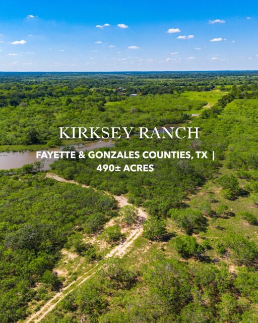 PRICE REDUCED | Kirksey Ranch

Spanning 490± acres near Waelder, Texas, Kirksey Ranch features open pastures, native wildlife habitat, and over 1.5 miles of Peach Creek frontage. Now offered at $3,495,000, this versatile property is suited for cattle, hunting, or a weekend retreat, approximately 1.5 hours from Austin and San Antonio.

Now offered at $3,495,000

Listing Details | republicranches.com/properties/texas/bluebonnet-country/kirksey-ranch/
