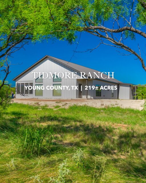 Tidmore Ranch | 219± Acres
Young County, TX

A furnished 5-bedroom home, three stocked ponds, and hunting blinds and feeders included—ready for weekends in the Rolling Plains.

Offered at $1,525,000.

Listing Details | republicranches.com/properties/texas/rolling-plains/tidmore-ranch/