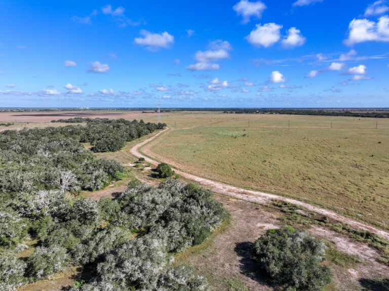 JFJ Ranch