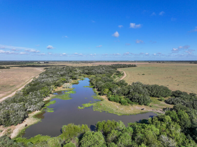 JFJ Ranch
