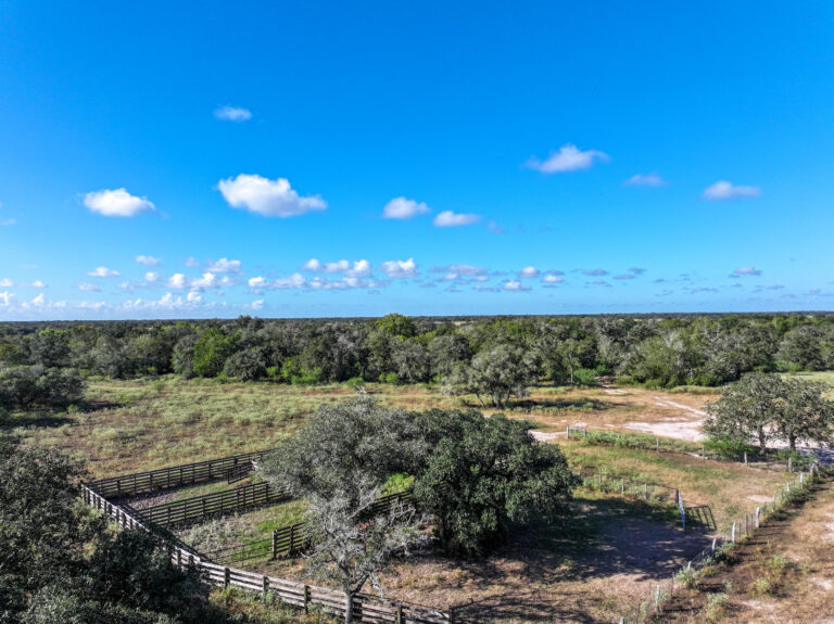 JFJ Ranch
