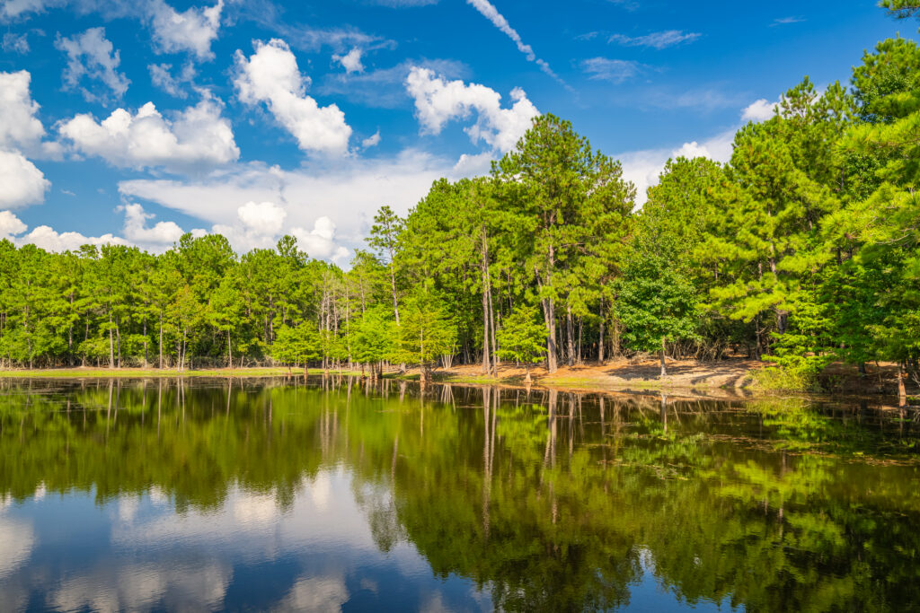 Loggins Creek Ranch, Angelina County, Texas