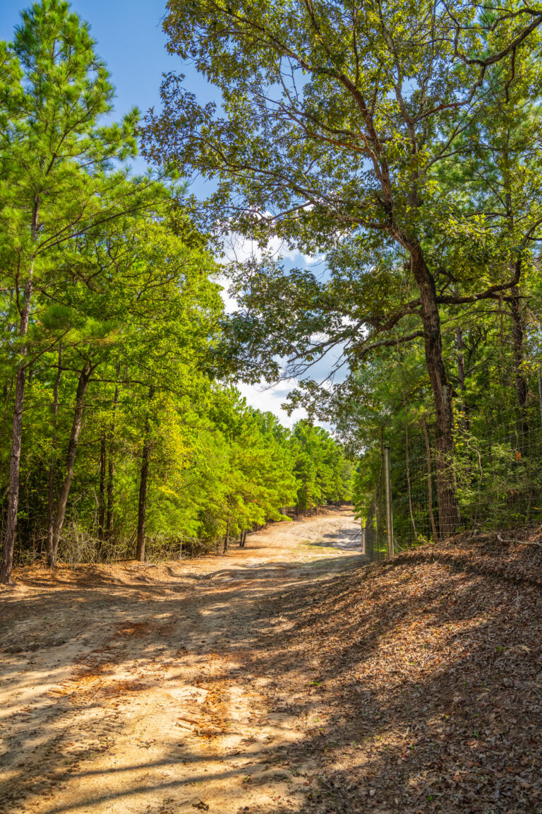 Loggins Creek Ranch, Angelina County, Texas