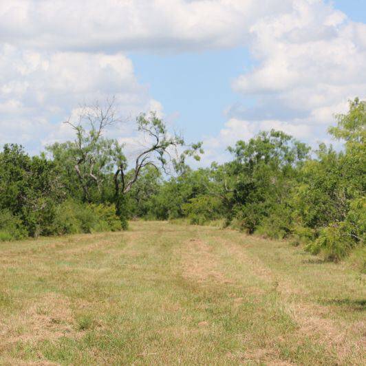 South Texas Ranches For Sale Republic Ranches Land Sales