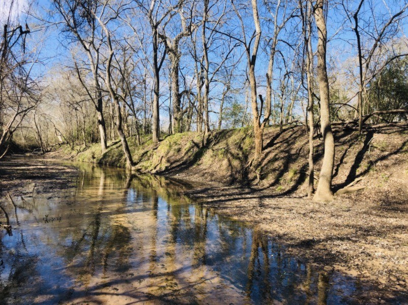 rocky creek ranch homes for sale