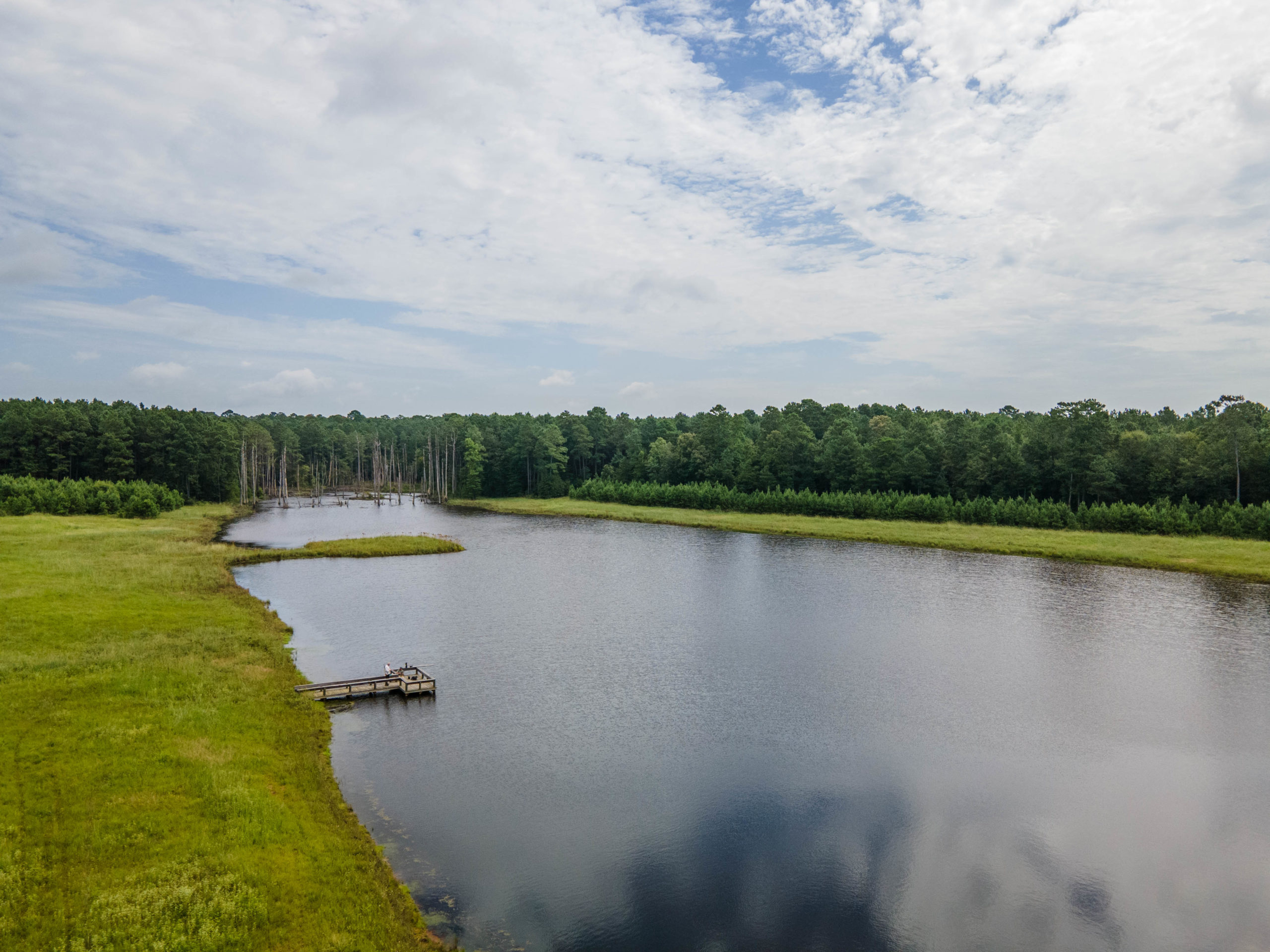 East Texas Ranches For Sale Republic Ranches Land & Ranch Sales