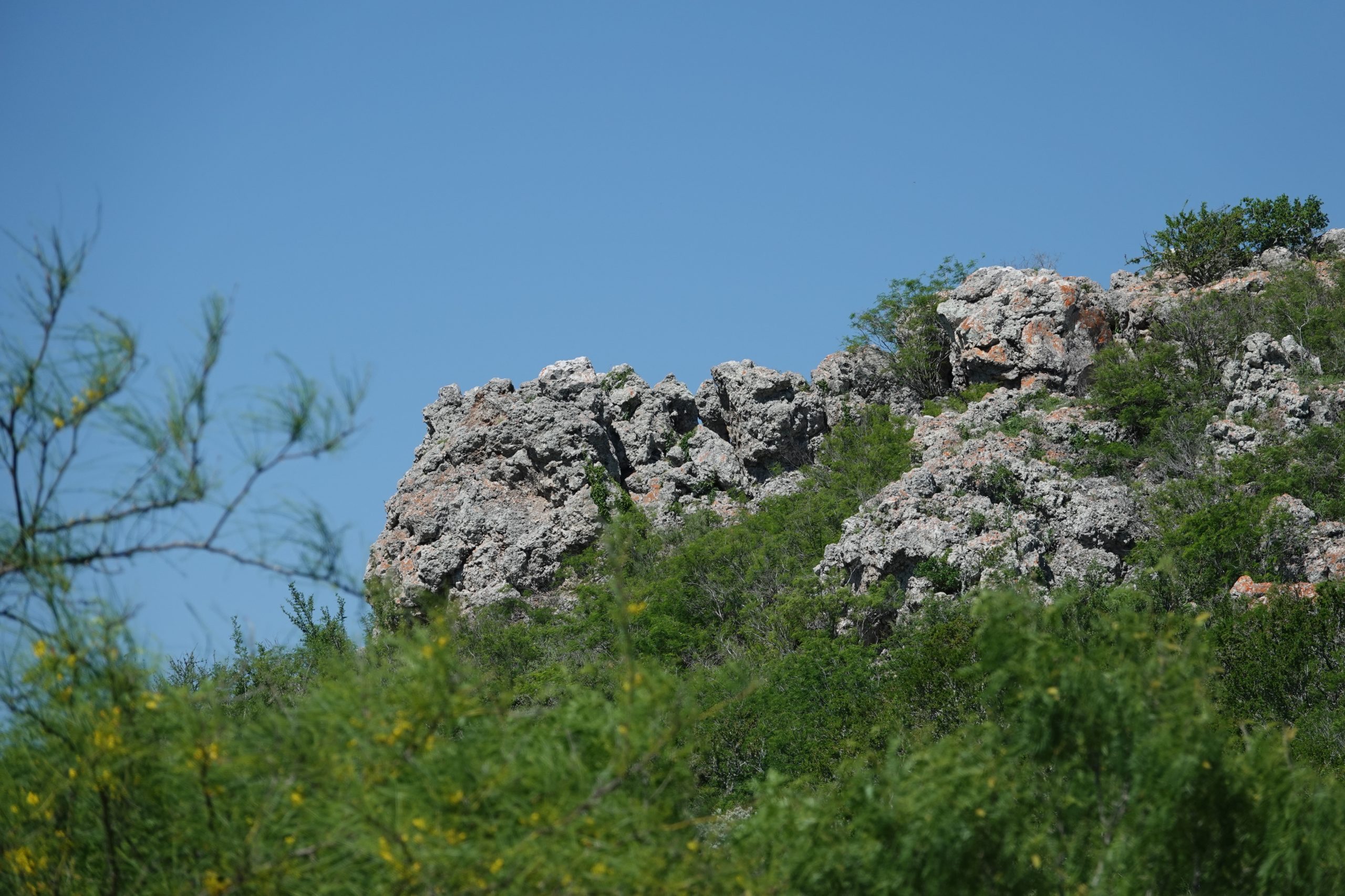 South Texas Ranches For Sale Republic Ranches Land Sales