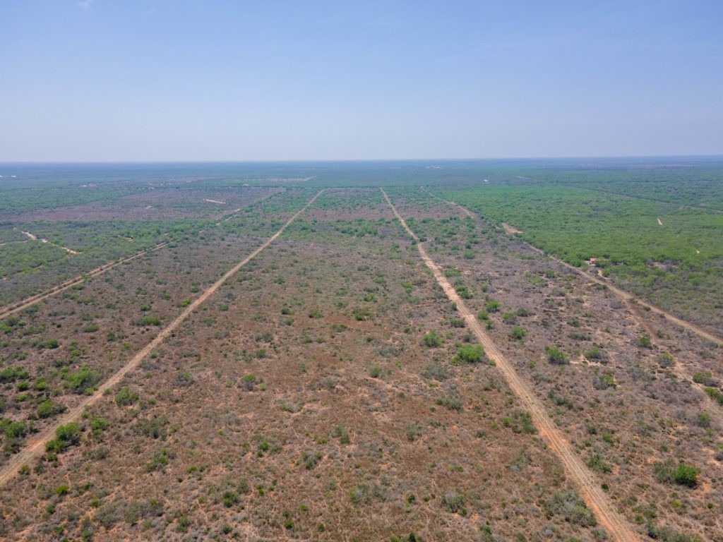 South Texas Ranches For Sale | Republic Ranches Land Sales