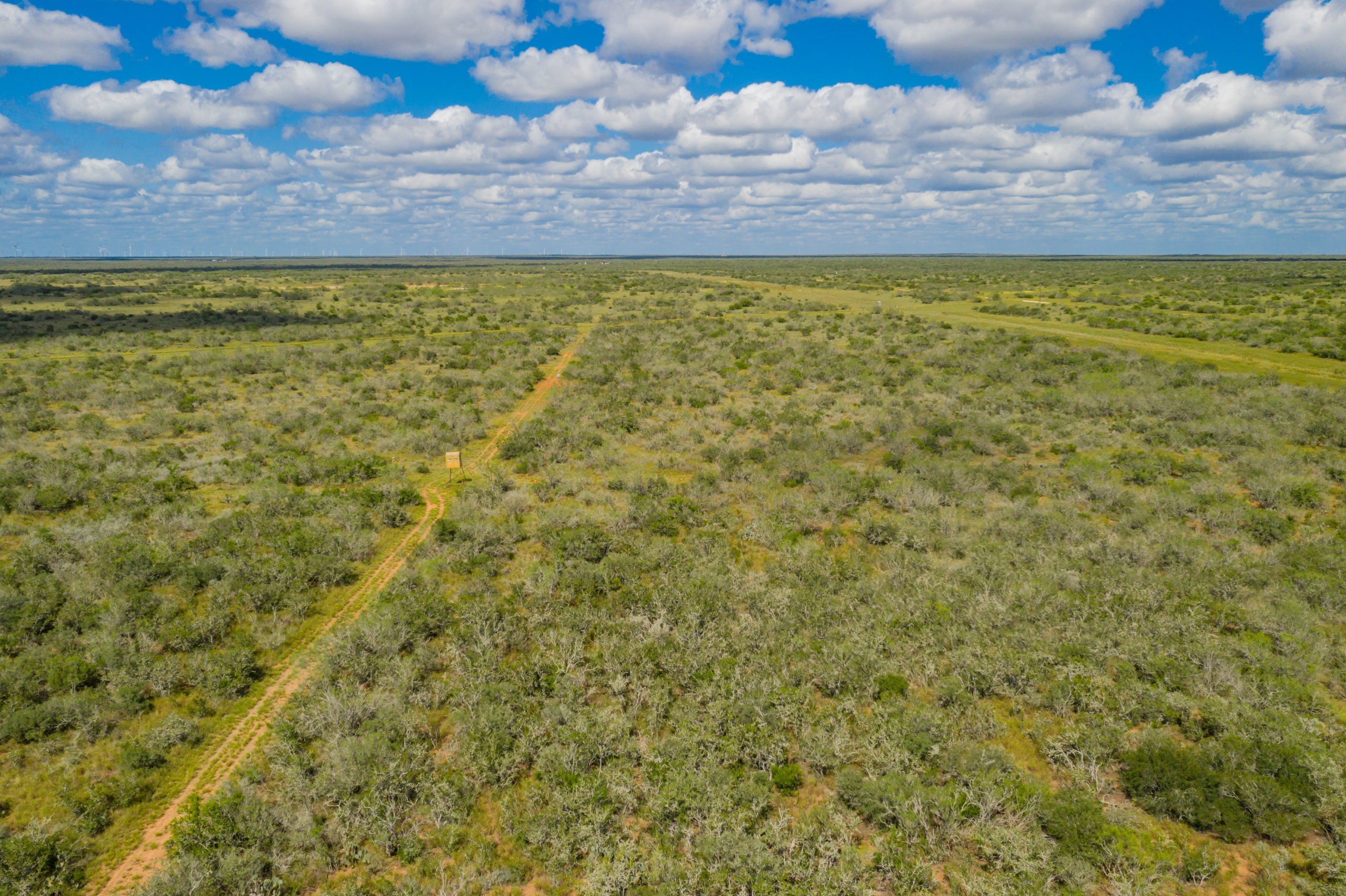 South Texas Ranches For Sale Republic Ranches Land Sales