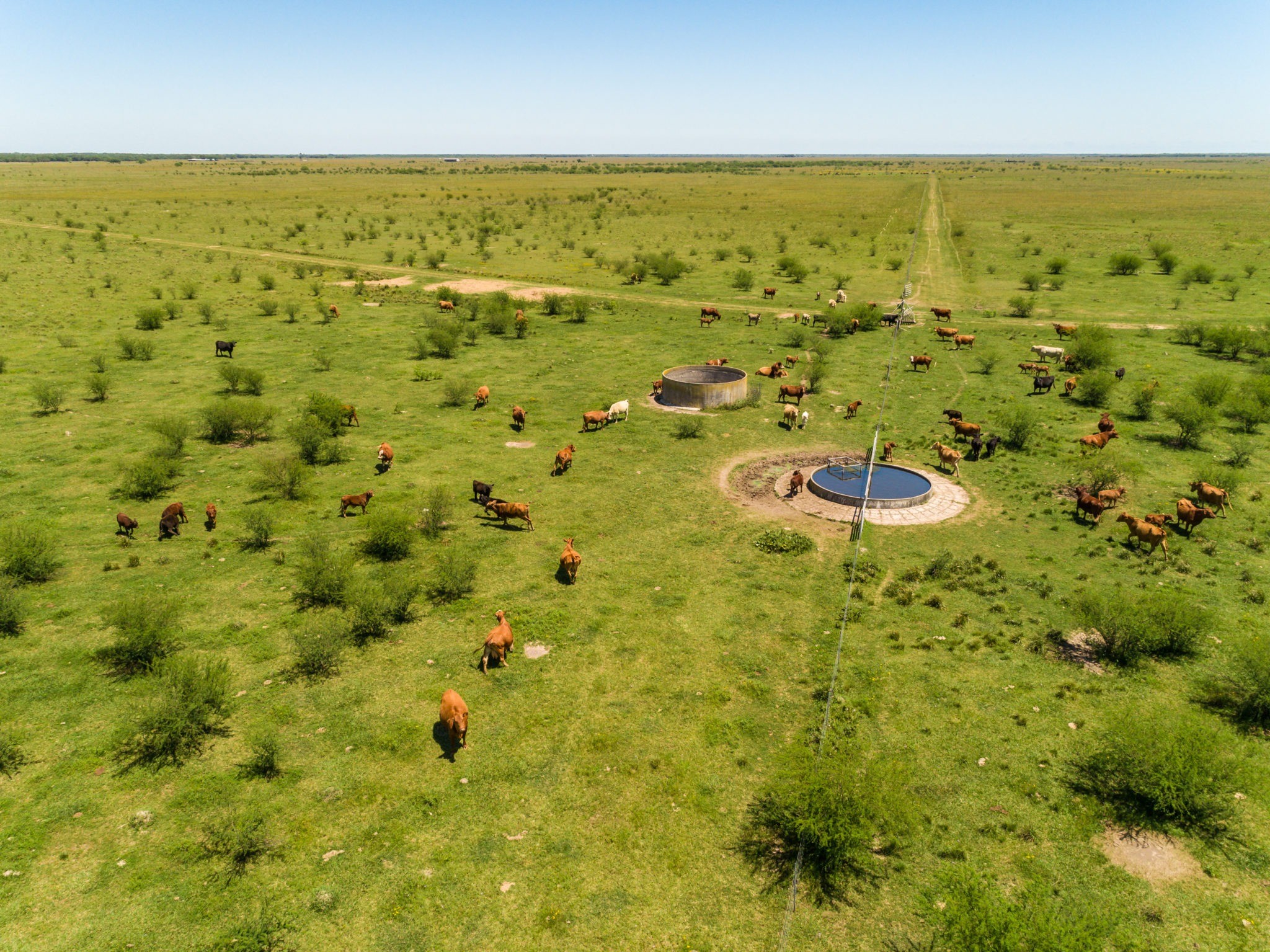 South Texas Ranches For Sale Republic Ranches Land Sales