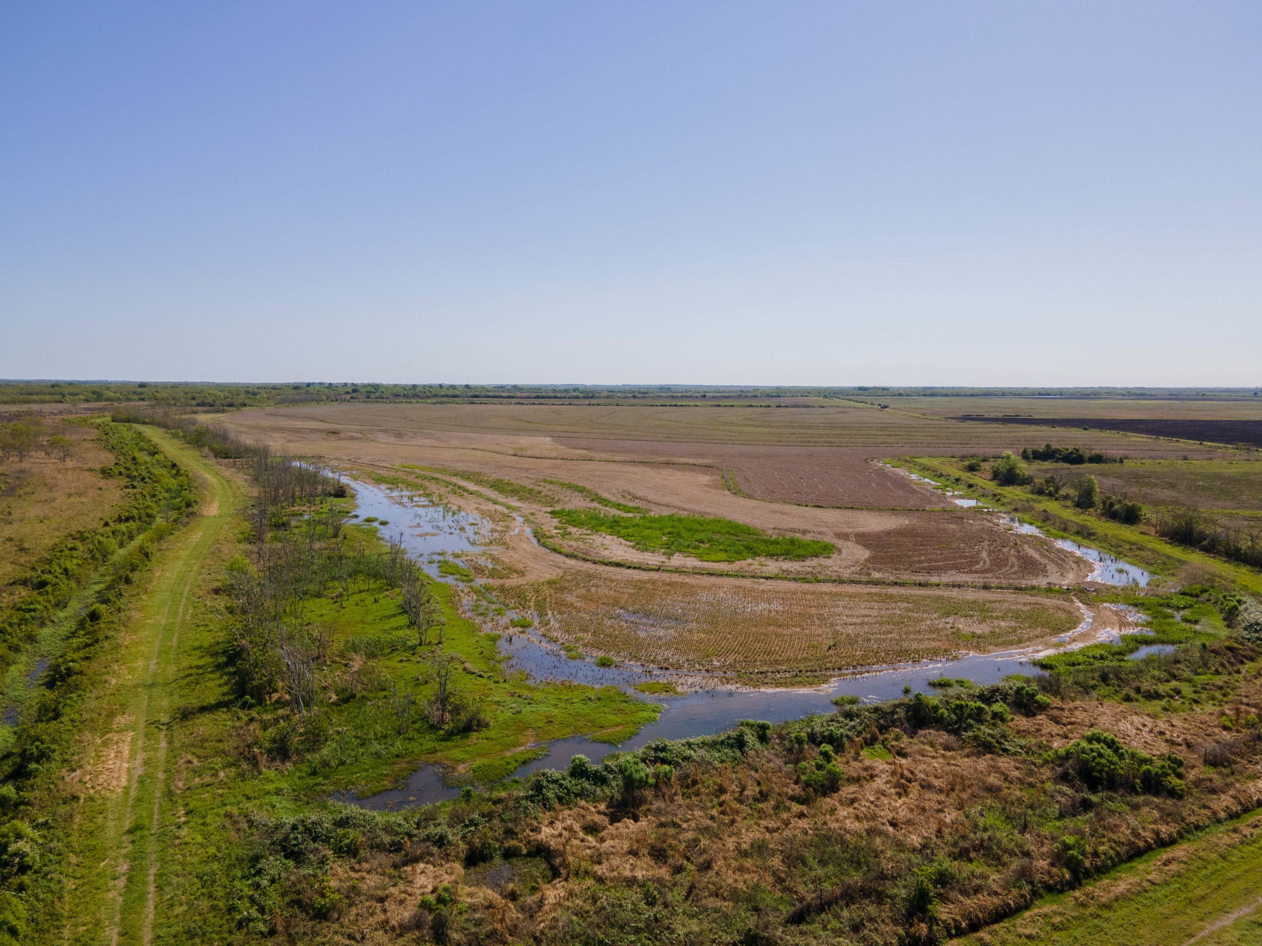 Texas Coastal Land For Sale Coastal Prairies Republic Ranches   Ricefield Pond 31 Scaled 