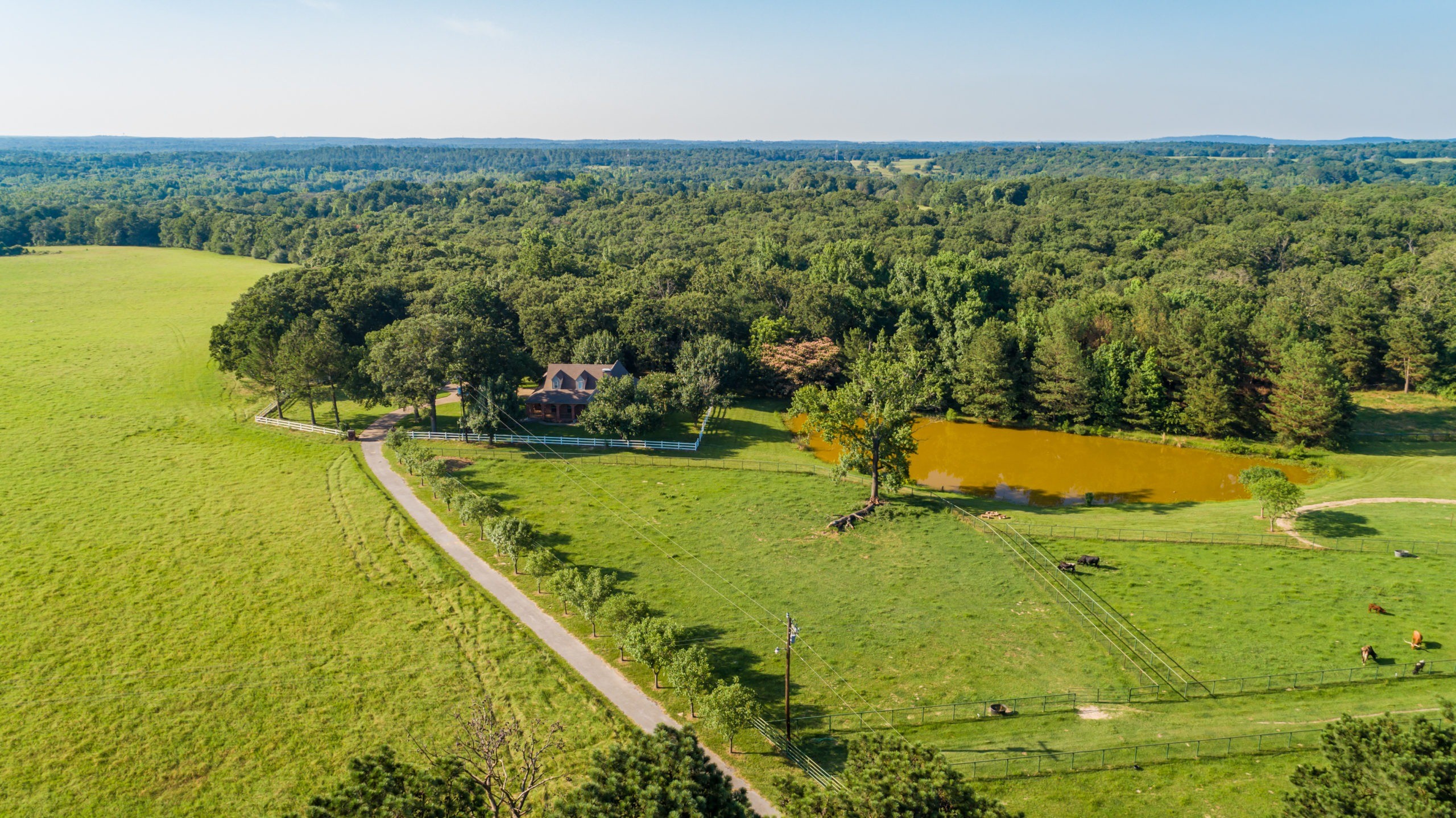 East Texas Ranches For Sale Republic Ranches Land & Ranch Sales
