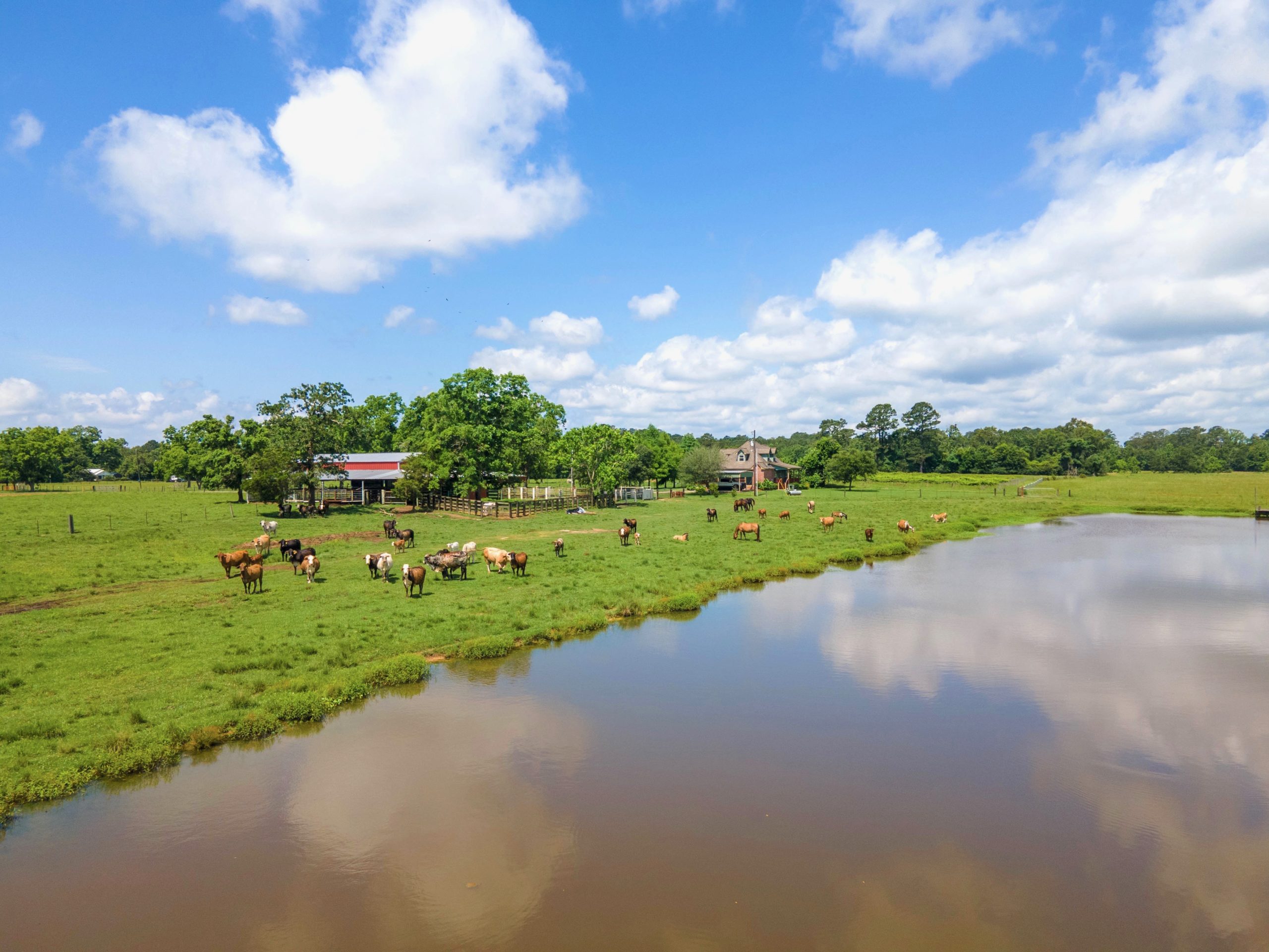 East Texas Ranches & Acreage